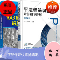 平法钢筋识图与计算细节详解+16G101平法钢筋识图与算量 共2本 16G101图集应用 平法钢筋识