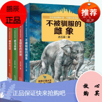 沈石溪动物小说全集 情豹传说/罪马英雄/金蟒蛇的抉择/不被驯服的雌象 动物小说大王沈石溪守望生命书系