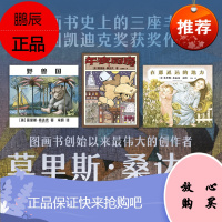 莫里斯桑达克图画书三部曲（全3册）野兽国+在那遥远的地方+午夜厨房 PGY