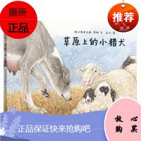 草原上的小猎犬 PGY