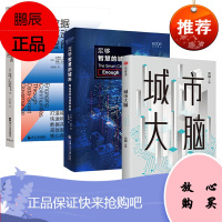 数据与智能驱动的智慧城市[3册]城市大脑+足够智慧的城市:恰当技术与城市未来+数据驱动的智能城市