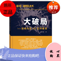 大破局 资本内生VS杠杆革命 宋元磊