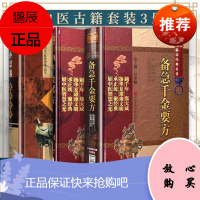 孙思邈医学全书—唐宋金元名医全书大成+备急千金要方+千金翼方2本套中医非物质文化遗产临床****唐