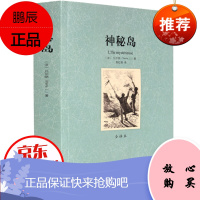 神秘岛 全译本无删节 凡尔纳 原著原版中文版 世界名著 凡尔纳科幻小说作品精选集