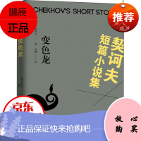 契诃夫短篇小说集：变色龙外国现当代文学课外阅读推荐短篇小说巨匠