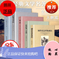 巴黎圣母院 钢铁是怎样炼成的 假如给我三天光明 复活 雾都孤儿 全译本无删减 世界文学名著小说
