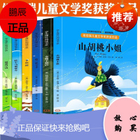 纽伯瑞奖国际大奖小说 山胡桃小姐 全6册 7-14岁小学课外阅读书插画典藏版 儿童文学奖获奖作品