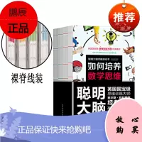 聪明大脑思维游戏书(全4册)如何培养横向数学客观逻辑思考专注能力 儿童自我实现潜能开发图书