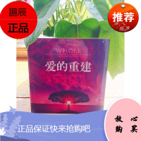 爱的重建 梅丽莎摩尔疗愈自己 远离苦痛 生命的重建心的重建姊妹篇 励志心灵鸡汤书籍 完善提高自我读物
