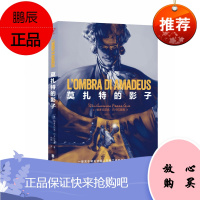 莫扎特的影子 意大利历史悠久的少年文学奖“汽艇文学奖”得主 关于莫扎特超人天赋之谜的历史悬疑小说