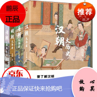 汉朝大历史 清朝大历史 唐朝大历史 明朝大历史 19年新版全4册细说历朝历史不忍细看中华上下五千年