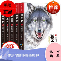 正版 沈石溪画本一狼王梦(套装全5册)沈石溪动物小说画本系列三四五六年级小学生课外阅读书籍阅读6-
