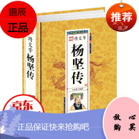 精装帝王一隋文帝杨坚传