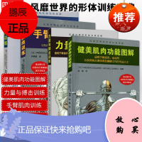 肌肉健美训练图解+手臂肌肉训练+腹部肌肉训练+力量与搏击训练 教练员运动员健身专业参考书籍