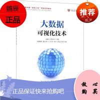 大数据可视化技术 数据科学与大数据技术专业系列规划教材数据可视化概述 姜枫 许桂秋编著 97871