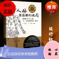 Z正版人体经筋循行地图(第2版)图解学习人体十二经筋解剖、循行 刘春山 刘荷婧编著 中国科学技