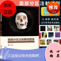 面部分区注射解剖图谱 徐飞 金光龙主編 微整形注射美容书 微整形 2019年5月出版 微整形注射美