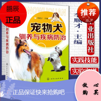 宠物犬驯养与疾病防治 宠物养护基础知识大全 宠物驯养实用技术书籍 新手养宠物从入门到精通 化学工业
