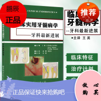 临床实用牙髓病学 美 拉姆利 等 著作 王英 等 译者 口腔科学生活 9787510013331