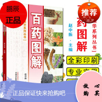 百药图解 本草精华系列丛书 彩图版 赵中振主编 中国中医药出版社 100多味中药科普书籍 97875