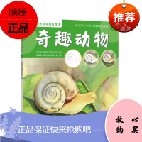 豫美绘画小课堂 彩铅写生系列 奇趣动物