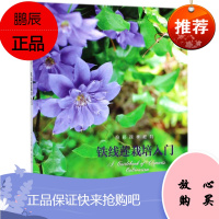 铁线莲栽培入门 家庭园艺