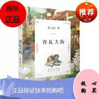 曹文轩文集:青瓦大街