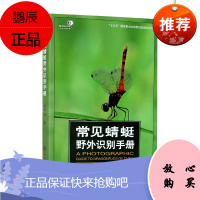常见蜻蜓野外识别手册