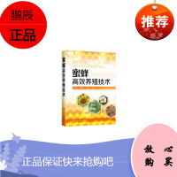 正版 蜜蜂高效养殖技术 罗文华,高丽娇,王瑞生 主编 化学工业出版社书籍 9787122352521