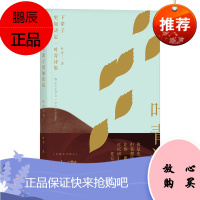 后浪正版 下辈子更加决定 叶青诗集 台湾现代诗歌集 文学书籍 现代诗集 书 9787220104107