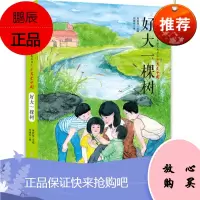 好大一棵树 改革开放四十周年献礼丛书之少年爱中国 6-15岁儿童青少年阅读书籍中国当代儿童文学作品长篇小说闫耀明著北方妇