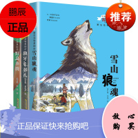 3册沈石溪动物小说新作野生动物救助站系列雪山狼魂野马奔腾独牙象葬礼老师三四五六年级小学生课外书9-12-15岁儿童文学故