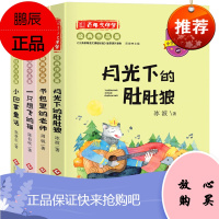 4册张秋生小巴掌童话注音版月光下的肚肚狼冰波童话一只想飞的猫陈伯吹书包里的老师小学生阅读书籍一二年级课外书三年级