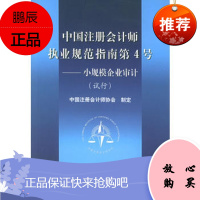 中国注册会计师执业规范指南 第4号,小规模企业审计中国注册会计师协会 制定9787505