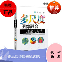 多尺度图像融合理论与方法[正版图书]