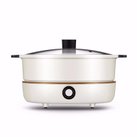 九阳电火锅 C21-HG3