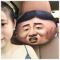 敬平汽车头枕护颈枕哈士奇车用座椅潮牌靠枕车载卡通可爱一对车上枕头 乌蝇哥单个 平