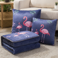 敬平加厚多功能抱枕被子两用珊瑚绒毯子靠垫靠枕头被折叠汽车载午休被 火鸟 50X50CM被子展开150X190cm 平