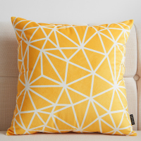 敬平北欧沙发抱枕靠垫家用客厅靠背靠枕汽车天鹅绒抱枕现代简约抱枕套 BZ166 50x50cm抱枕套(不含芯) 平