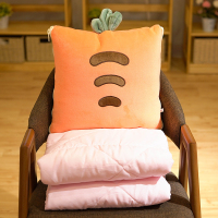 敬平抱枕被子两用加厚车载办公室午睡二合一车内小枕头汽车靠垫 胡萝卜多功能抱枕被(呆呆) 抱枕38*38cm( 平