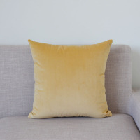 敬平欧式天鹅绒沙发靠垫纯色抱枕套汽车大抱枕床头靠背午休靠枕不含芯 香槟色 50X50cm抱枕(含芯) 平