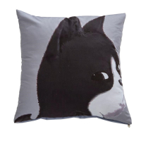 敬平卡通抱枕沙发靠垫办公室靠枕床头靠背汽车护腰靠垫抱枕套芯腰枕垫 黑猫 45x45cm 平