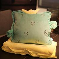 敬平抱枕被子两用午睡加厚毯子折叠汽车车载多功能靠垫枕头被子三合一 仙人掌 抱枕40cm(内含毯子1x1.7米) 平