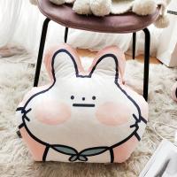 敬平[春春]网红款ins趣味情侣可爱兔子抱枕汽车靠背学生送女友礼物 知错么约50*55cm 其他规格 平