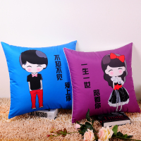 敬平情侣抱枕靠垫卡通可爱定制车内个性车用 车抱枕一对新款汽车枕头 不知不觉爱上你一对包含枕芯 45x45cm 平