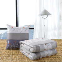 敬平两用多功能靠垫被汽车抱枕被子可爱卡通可折叠枕头被办公室空调被 灰色 一枝独秀--普通款 40X40展开105 平