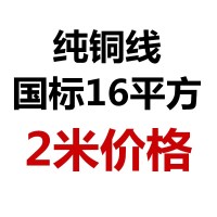 敬平全铜 逆变器直流输入输出电线10平方16平25平方副电瓶改装电源线 2根国标16平线2米 带头子 平电瓶线
