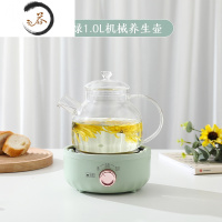 HAOYANGDAO养生壶家用多功能小型mini玻璃煮茶器炉老白茶黑茶专用煮茶壶 1人茶具