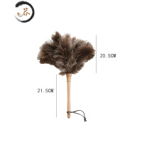 HAOYANGDAO鸡毛掸子家用除尘器静电除尘掸子鸵鸟毛禅子扫灰 榉木整木大号(总长约42cm)