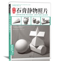 石膏几何体静物照片书画素描专用专业摄影对画照片图书 杨建飞主编